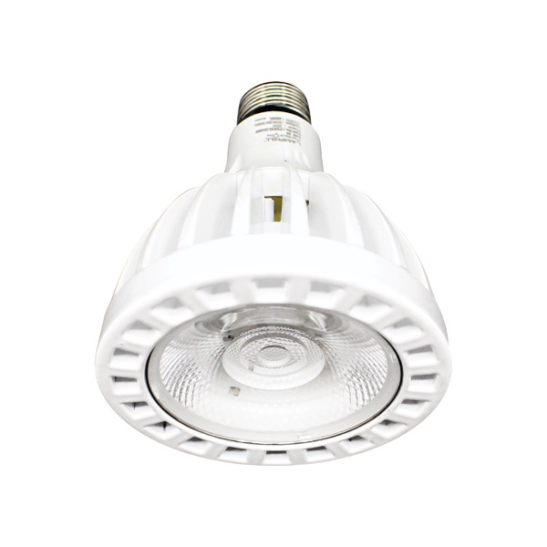 PAR30-2530W-PAR30-2540W-PAR30-2565W — CahayaLED Bulb / Strip / String Light