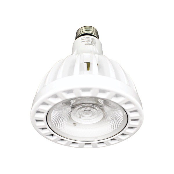 PAR30-2530W-PAR30-2540W-PAR30-2565W — CahayaLED Bulb / Strip / String Light