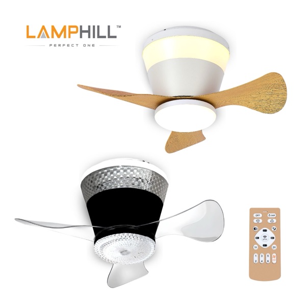 Ceiling Fan Light