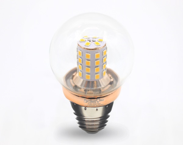 IMG_38932 — Perfect One Filament Bulb