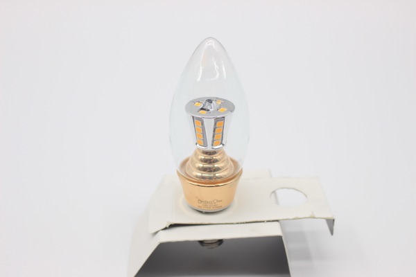 IMG_3901 — Perfect One Filament Bulb