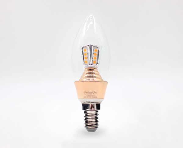 IMG_3902 — Perfect One Filament Bulb