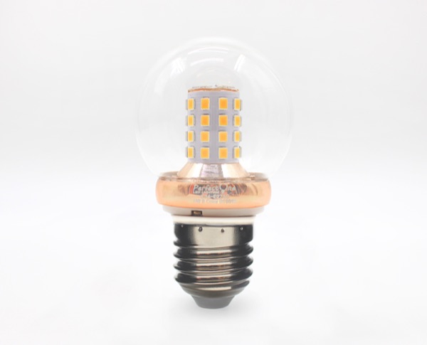 IMG_3905 — Perfect One Filament Bulb