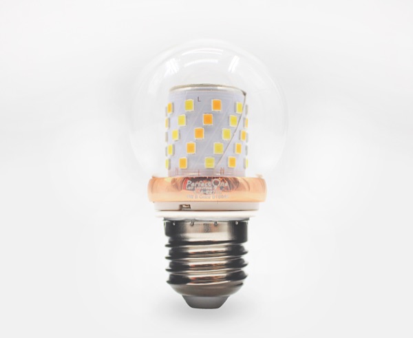 IMG_3907(1) — Perfect One Filament Bulb