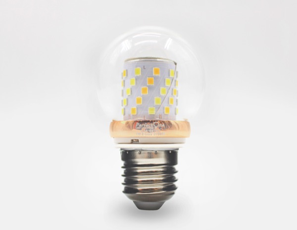 IMG_3907 — Perfect One Filament Bulb