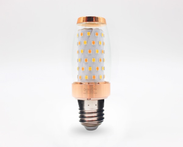 IMG_3910 — Perfect One Filament Bulb
