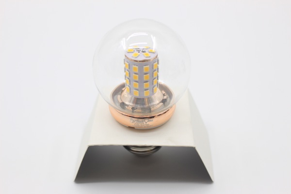 IMG_3913 — Perfect One Filament Bulb
