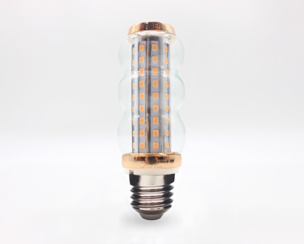 IMG_3926 — Perfect One Filament Bulb