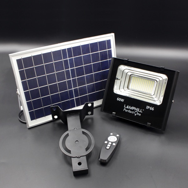 SF — Perfect One Flood Light