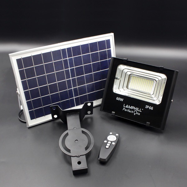 SF — Perfect One Flood Light