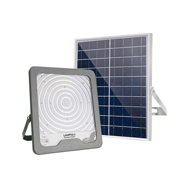 SF3-60065 — Perfect One Flood Light