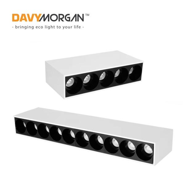 DLB2 — DavyMorgan Spotlight / Downlight