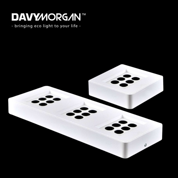 DS — DavyMorgan Spotlight / Downlight