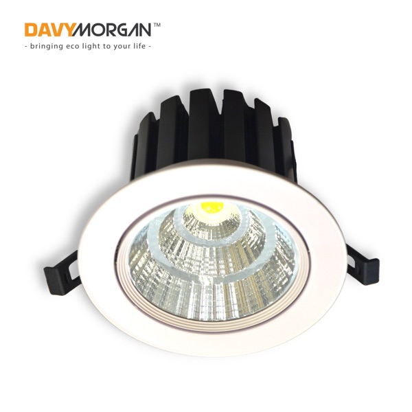 R4 — DavyMorgan Spotlight / Downlight