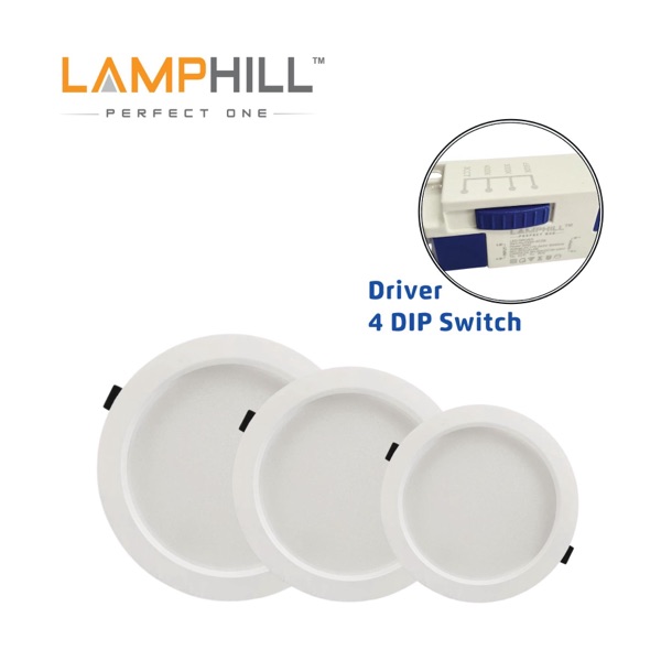 P2 — Perfect One Spotlight / Downlight