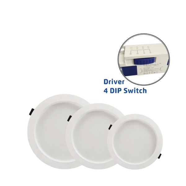 P2 — Perfect One Spotlight / Downlight