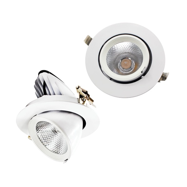 PR10 — Perfect One Spotlight / Downlight