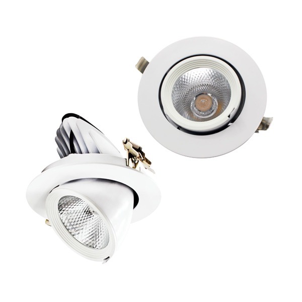 PR10 — Perfect One Spotlight / Downlight