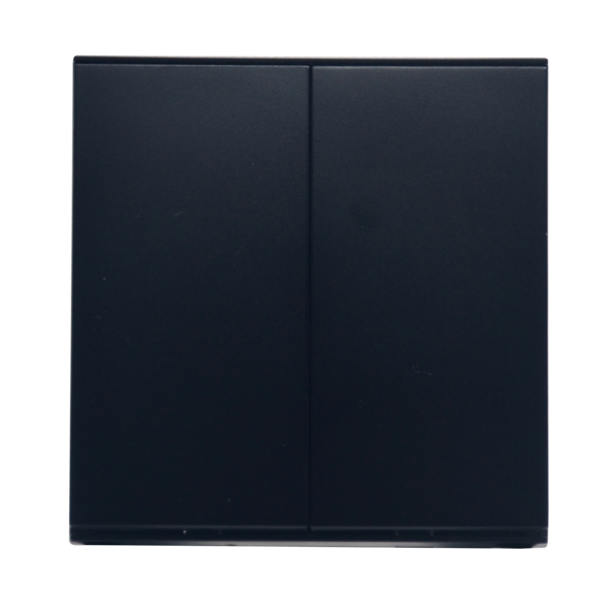 ELE-2G1W-B — Retouch Switch & Socket