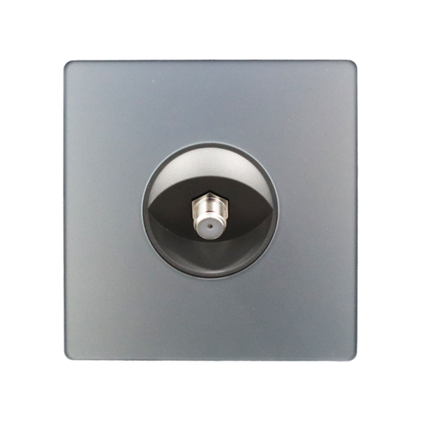 THINS-ASTRO-MIN-GGG — Retouch Switch & Socket